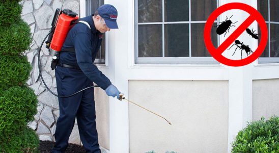 Sarıcakaya Hamam Böceği İlaçlama böcek ilaçlama ve haşere kontrolü — ilaclama-tr.com